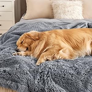   Bedsure-Waterproof-Dog-Blankets-for-Large-Dogs-Calming-Cat-Blanket-for-Bed-Couch-Protector-Washable-Long-Faux-Fur-Pet-Throw-Blanket-for-Puppy-Reversible-Furniture-Protection-60x80-Grey
