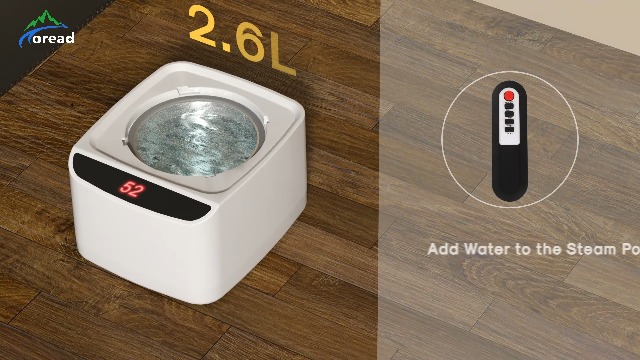 Amazon.com : TOREAD 2024 Portable Steam Sauna for Home, Personal