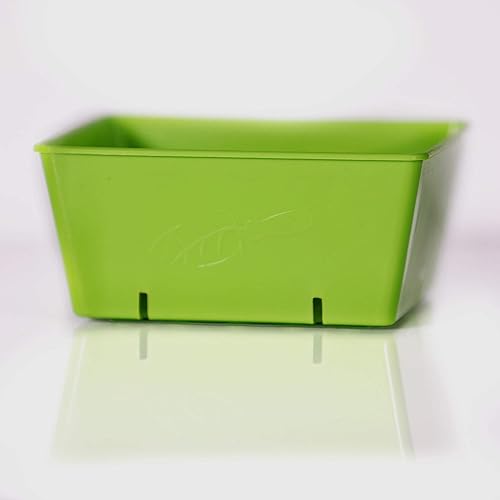 Miniatura 7 de Bootstrap Farmer 5 x 5 bandejas de semillas extra fuertes, paquete de 40 unidades, color negro, cultivo de microverdes, semillas de pasto de trigo,