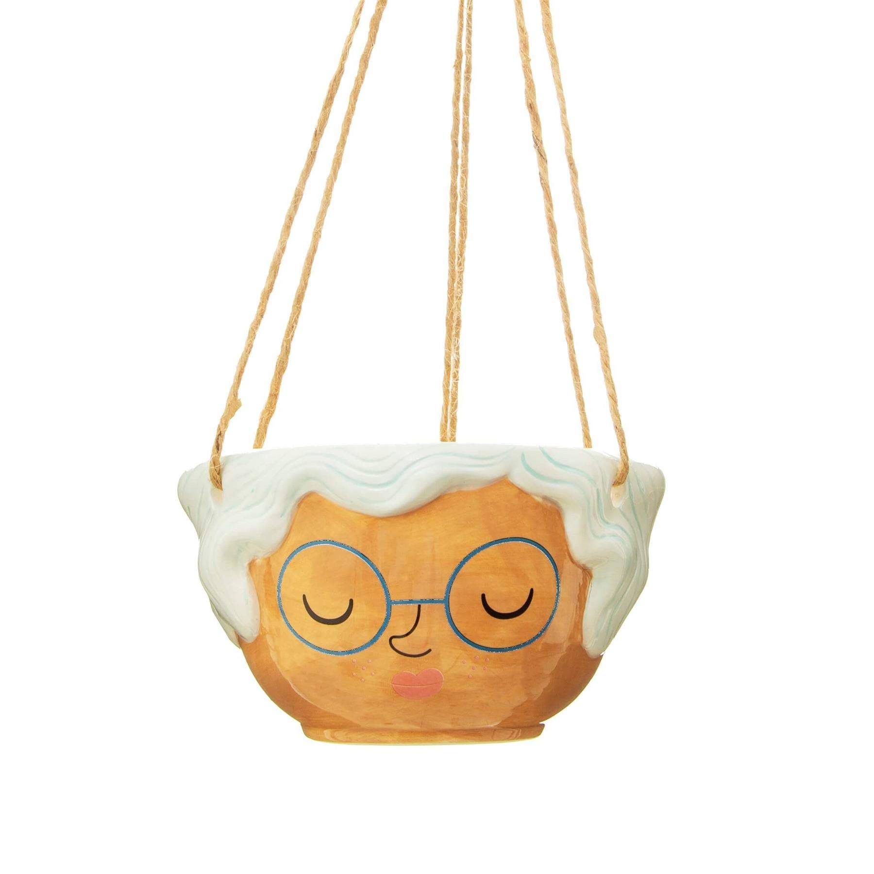 Sass & Belle Multicolor Rose Hanging Planter