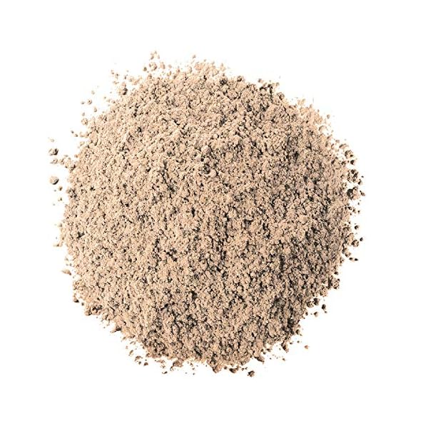 LOreal-Paris-Infallible-24HR-Shadow-Iced-Latte-012-Ounce-LOreal-Paris L'Oreal Paris Infallible 24 Hour Waterproof Shadow, Iced Latte, 0.12 Oz.