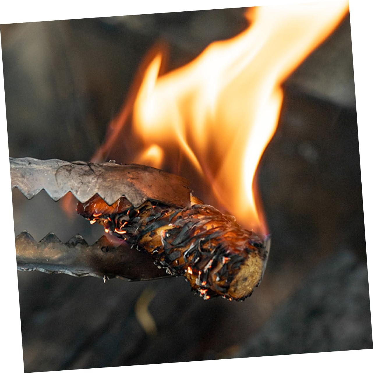 INOOMP Barbecue 50 Pezzi Accendifuoco Naturali Accendifuoco A Legna per attività Allaperto Stufa