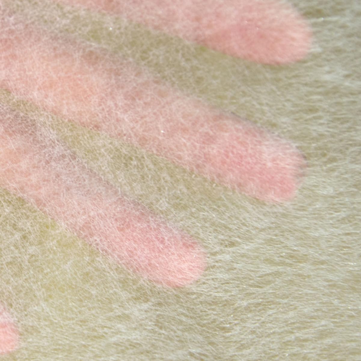 Operitacx 12rouleaux Ruban Adhésif Non Tissé Pour Vêtements Bande Thermocollante Tissu Couleur Blanche Pour Réparations