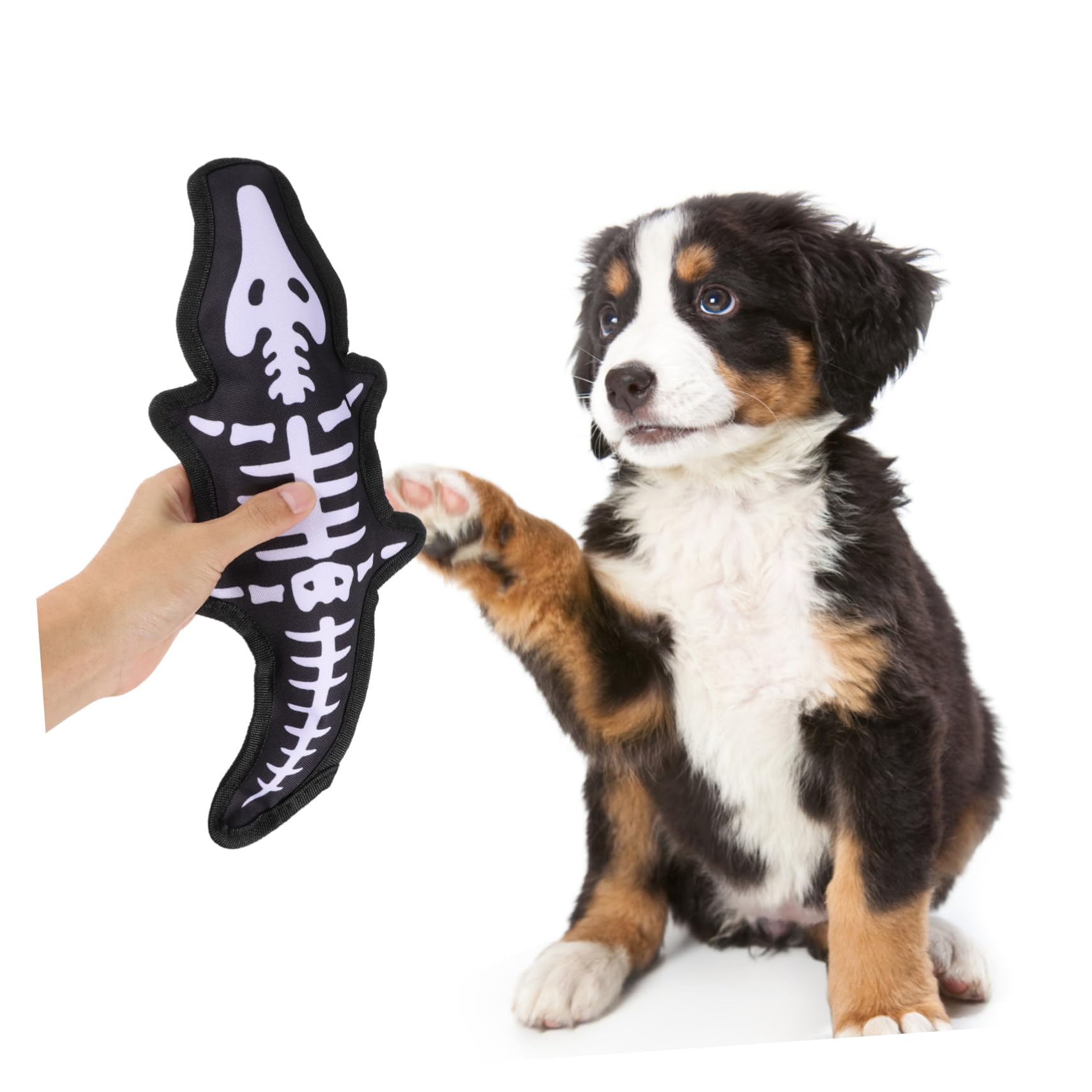 BESPORTBLE Jouet À Mâcher pour Chien Jouet Couineur pour Animaux De Compagnie Matériel De Nettoyage des Dents Amusant pour Les Chiots
