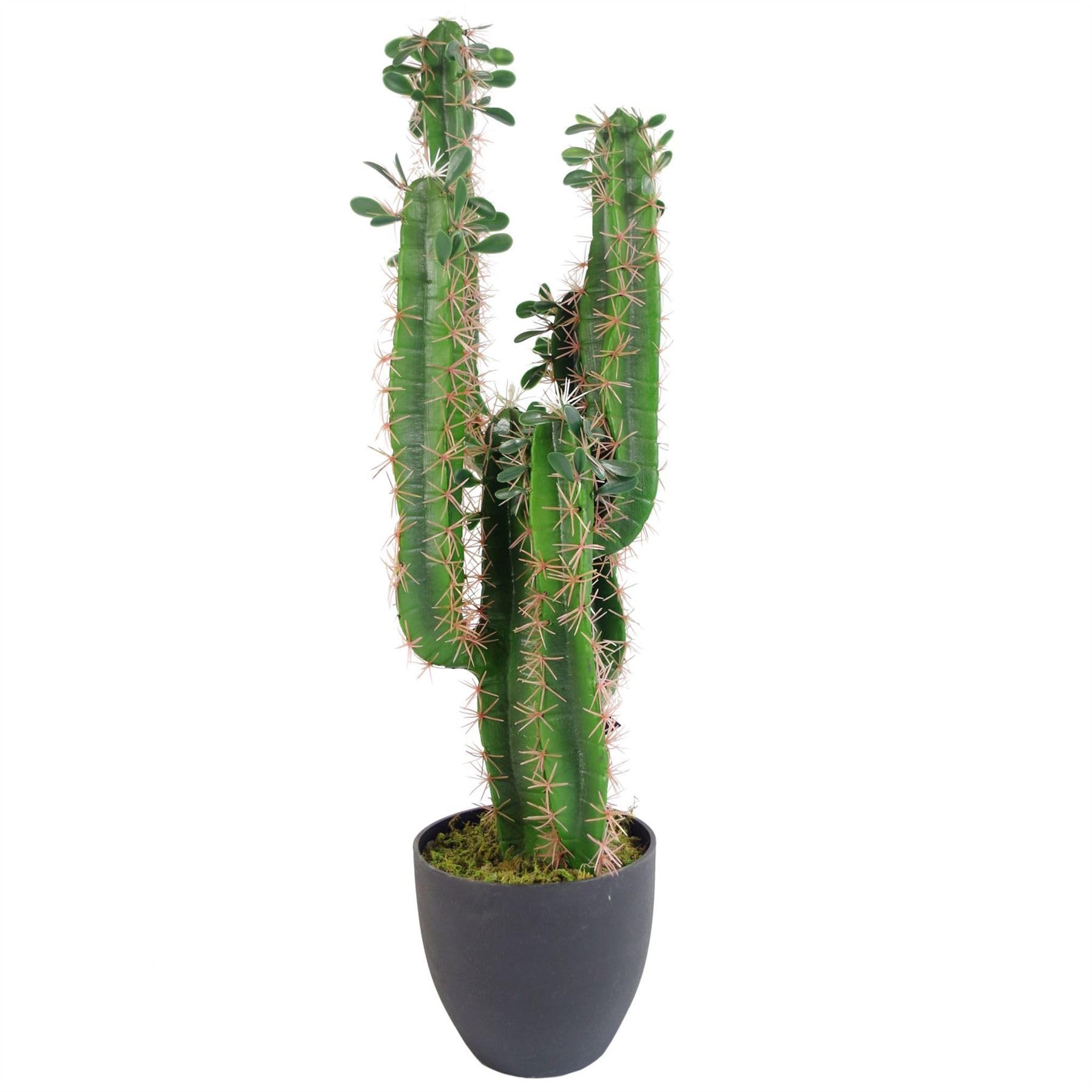 Leaf Artificial Cactus Tree 75cm
