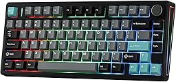 EPOMAKER TH80 V2 75% Wireless Mechanical Gaming Keyboard, 8000mAh & 2.4G/BT, Mac Modifier, RGB Backlit & Side Light, Programmable Keys & Knob, Creamy Keyboard for Mac/PC (Black, Sea Salt Silent)