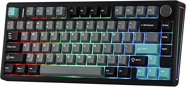 EPOMAKER TH80 V2 75% Wireless Mechanical Gaming Keyboard, 8000mAh & 2.4G/BT, Mac Modifier, RGB Backlit & Side Light, Programmable Keys & Knob, Creamy Keyboard for Mac/PC (Black, Sea Salt Silent)