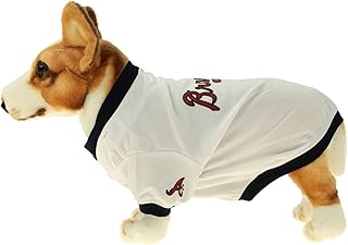 atlanta braves pet jersey