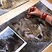 Painting Wildlife: Acrylic & Mixed Media
