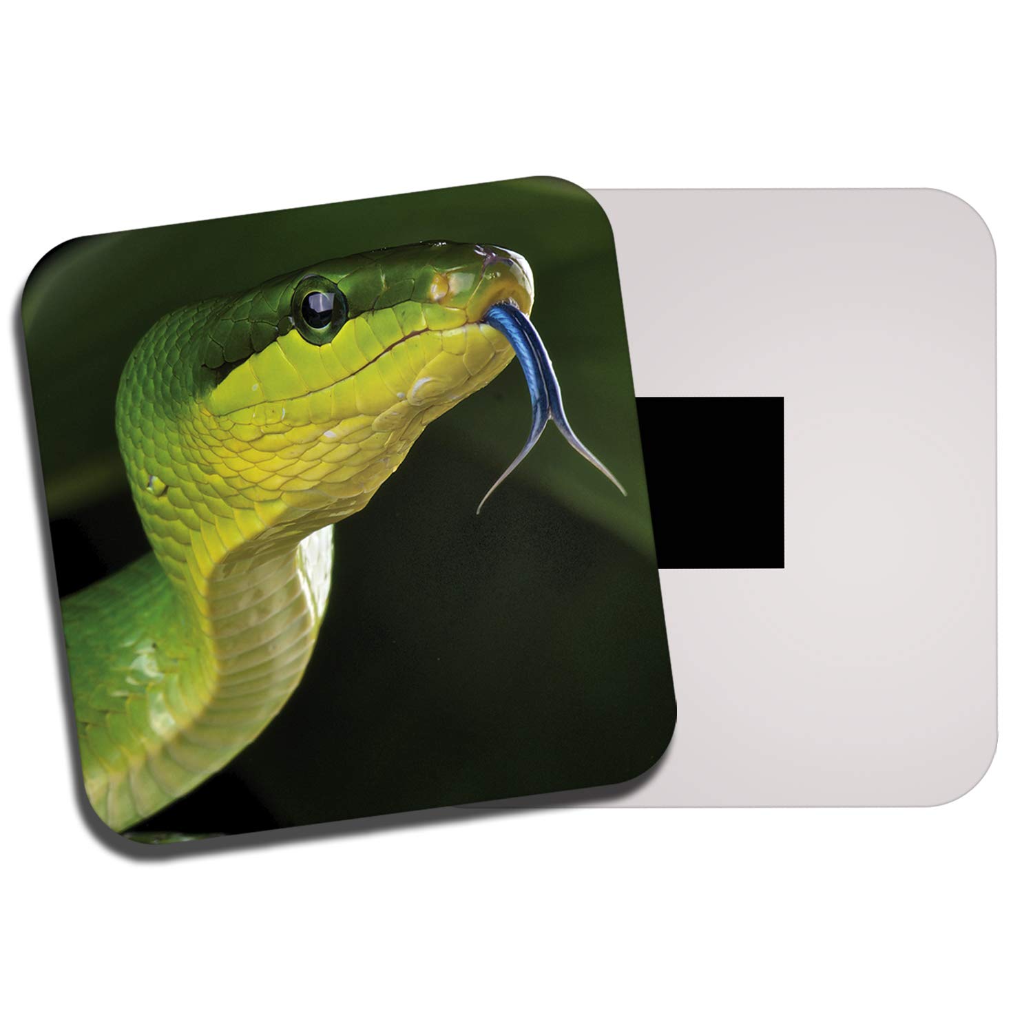 Destinationvinyl Multicolor 1 X Green Snake Fridge Magnet - Reptile Snakes Jungle Tropical #8313