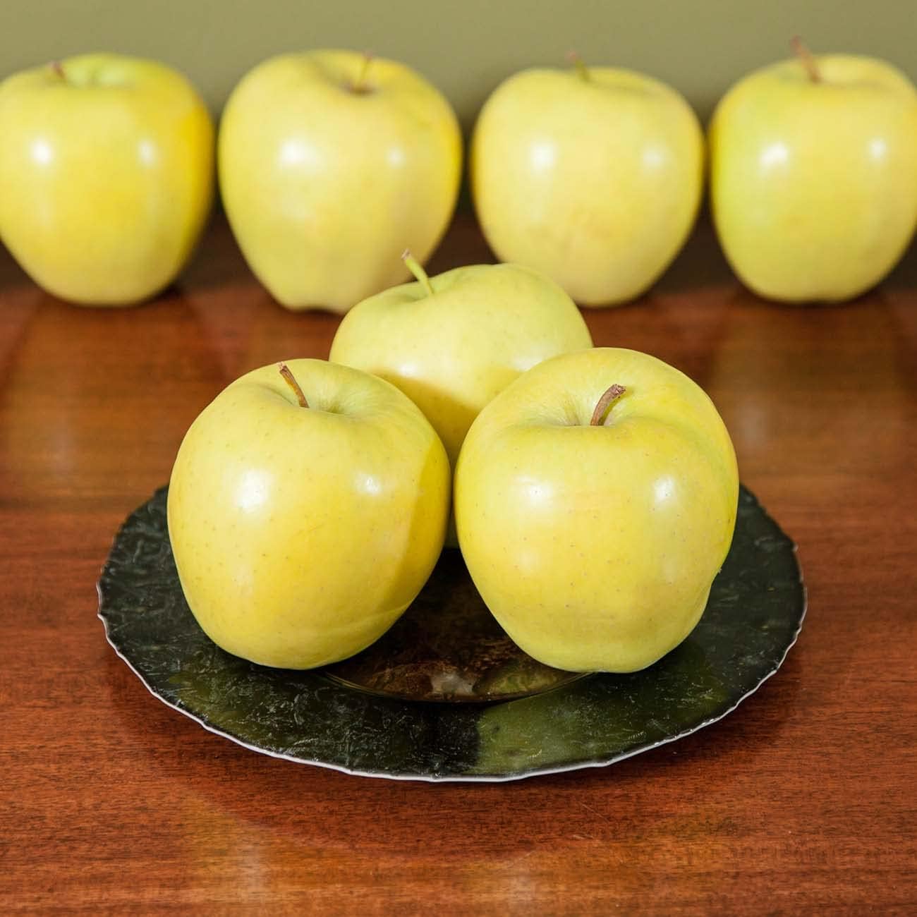 Perfect Plants Golden Delicious Apple Tree 1 Gallon | Live Fruit Trees for Outdoor Planting | Self Fertile & Easy to Grow | Sweet & Healthy Fruits Perfect for Home Gardens