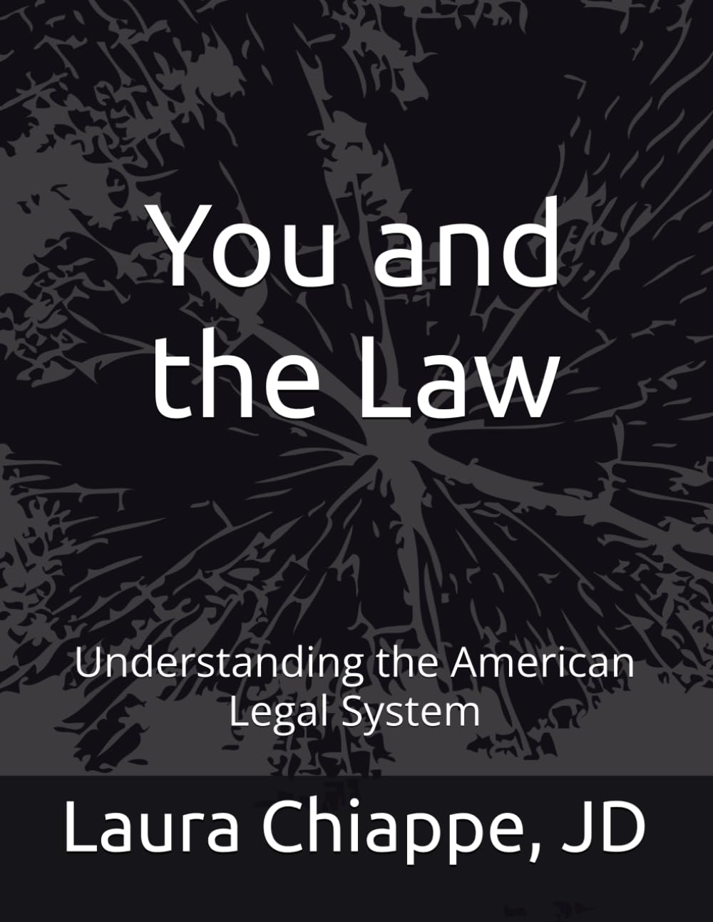 You and the Law: Understanding the American Legal System