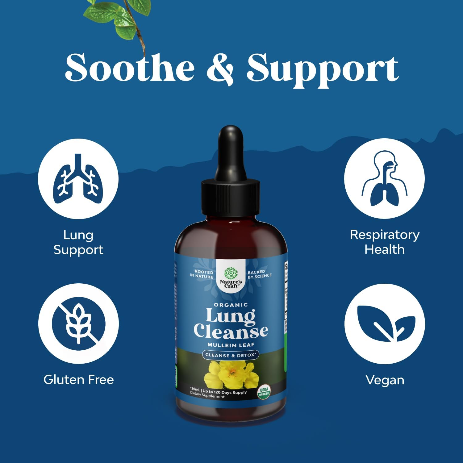 Organic Mullein Drops for Lungs - Lung Detox & Cleanse with Marshmallow Root Extract & Plantain Leaf for Respiratory Lung Health - Mullein Leaf Tincture Drops for Breathing Support - 4 Fl Oz (2 Pack)