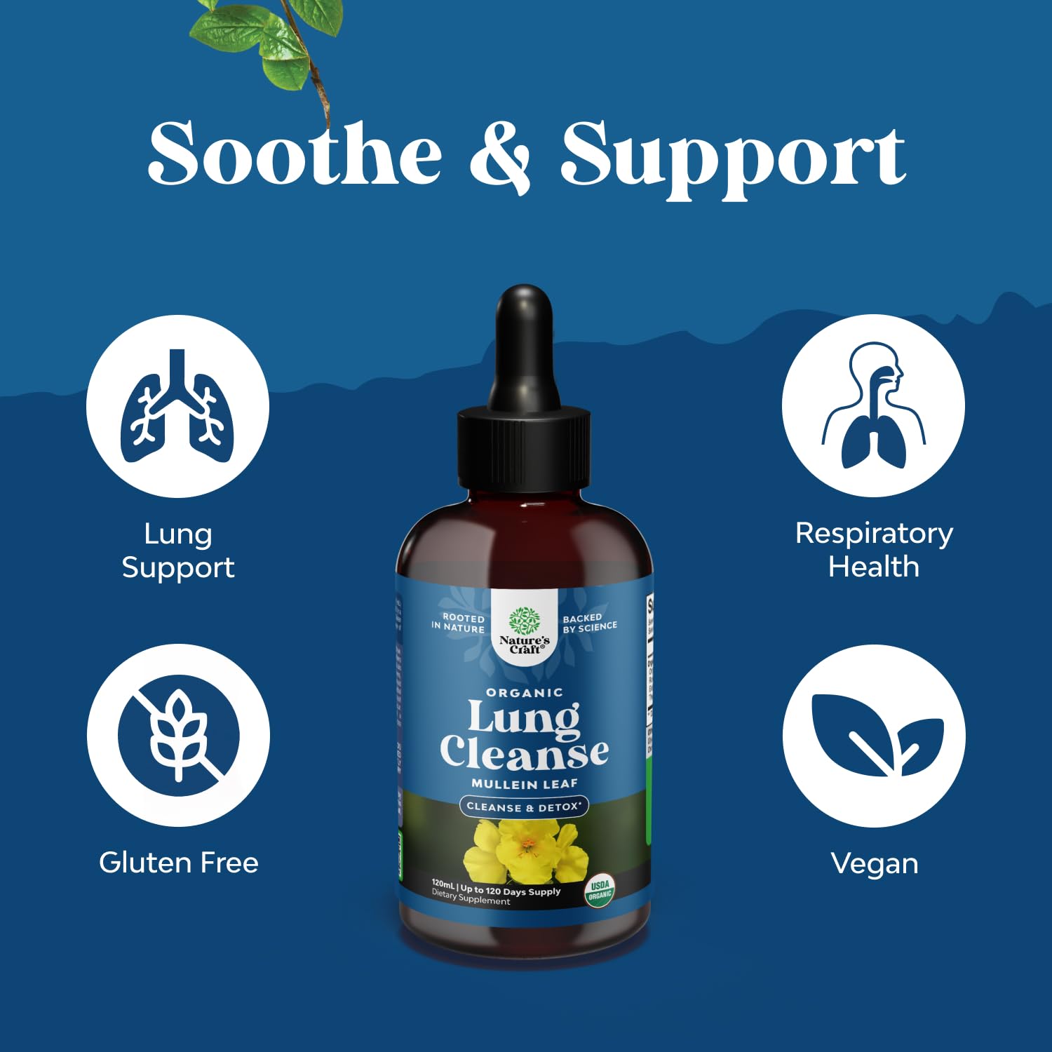 Organic Mullein Drops for Lungs - Herbal Lung Detox & Cleanse with Marshmallow Root Extract & Plantain Leaf for Respiratory Lung Health - Mullein Leaf Tincture Drops for Breathing Support - 4 Fl Oz — Amazon image 4