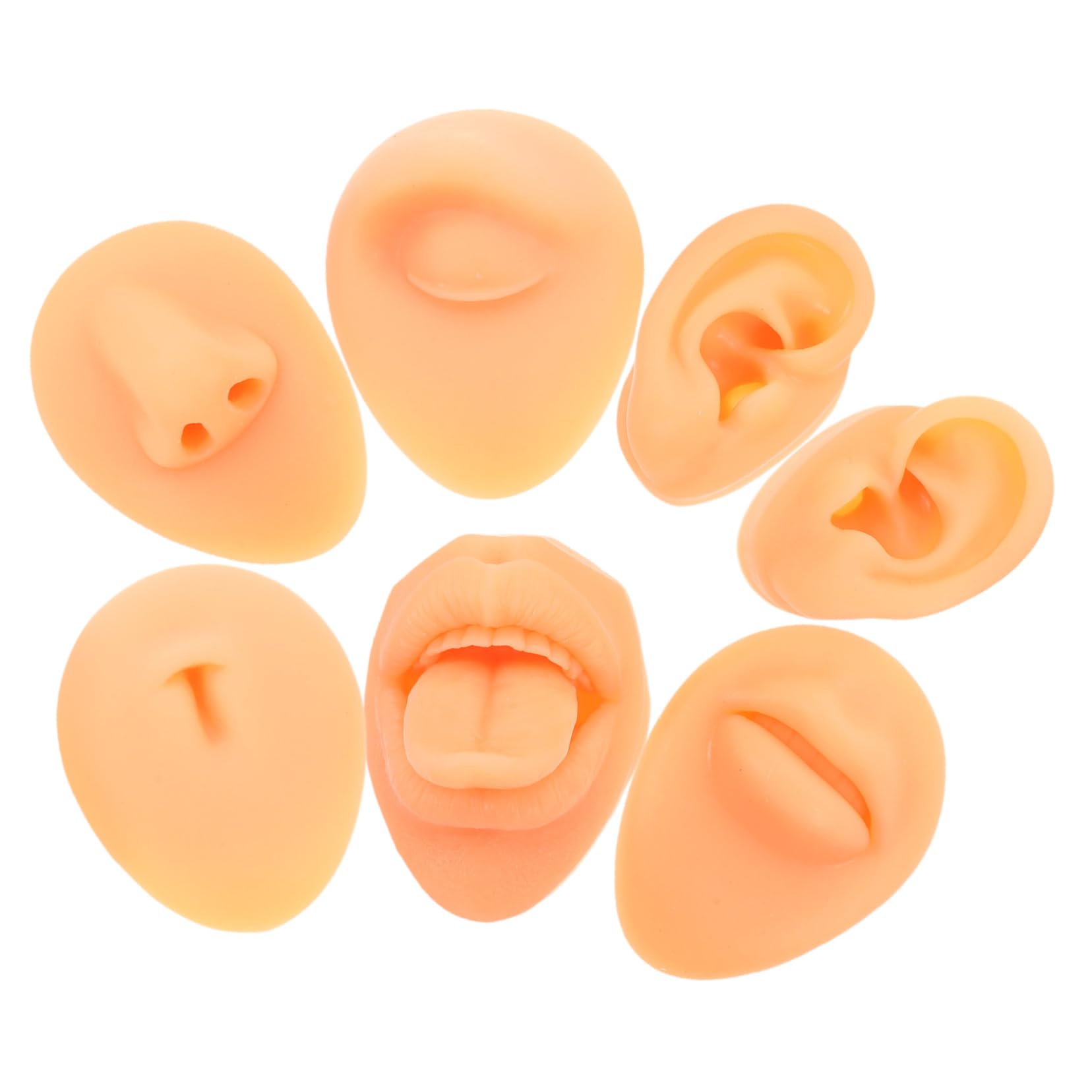 Healeved Silicone Ears Nose Mouth Tongue Model Set for Piercing Practice and Display