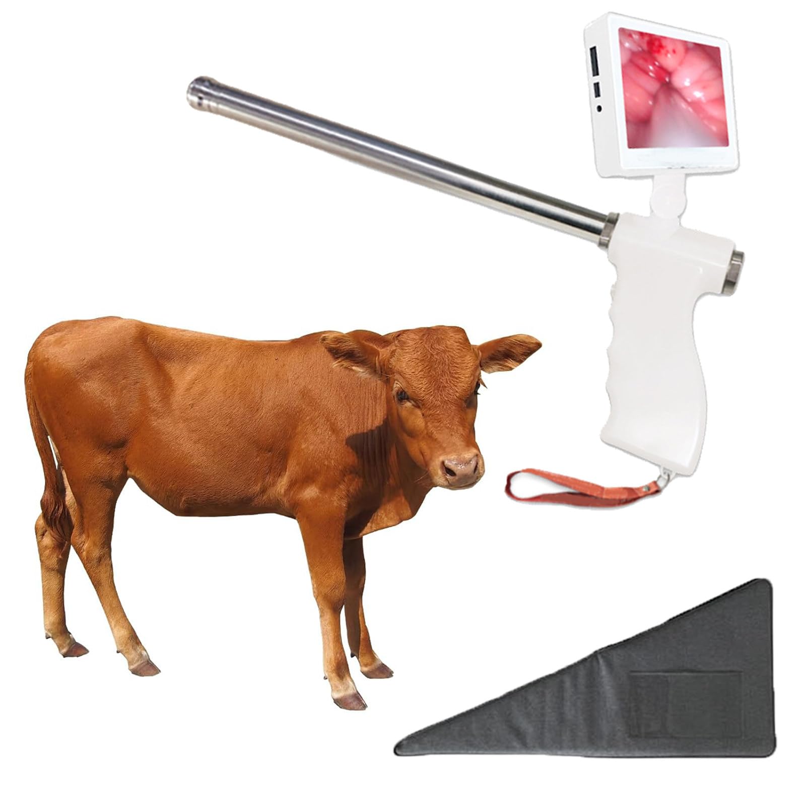ylpddmm Visual Insemination Kit, Livestock Breeding Tools for Cattle Large