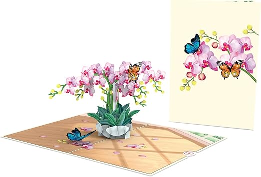 papercrush® Pop-Up Card Orchids with Butterfly – Elegant 3D Birthday Card with Flowers & Butterfly, Special Congratulations Giftcard for Women (Anniversary, Get Well Soon, Thank You, Miss You)