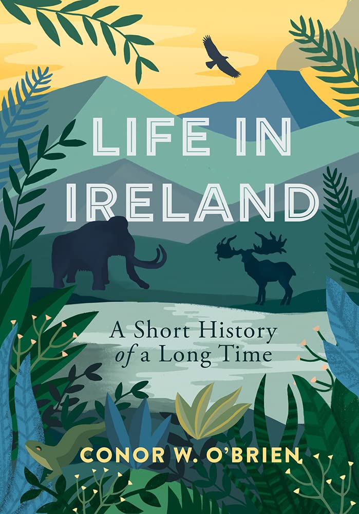 Life in Ireland: A Short History of a Long time By Conor W. O'Brien