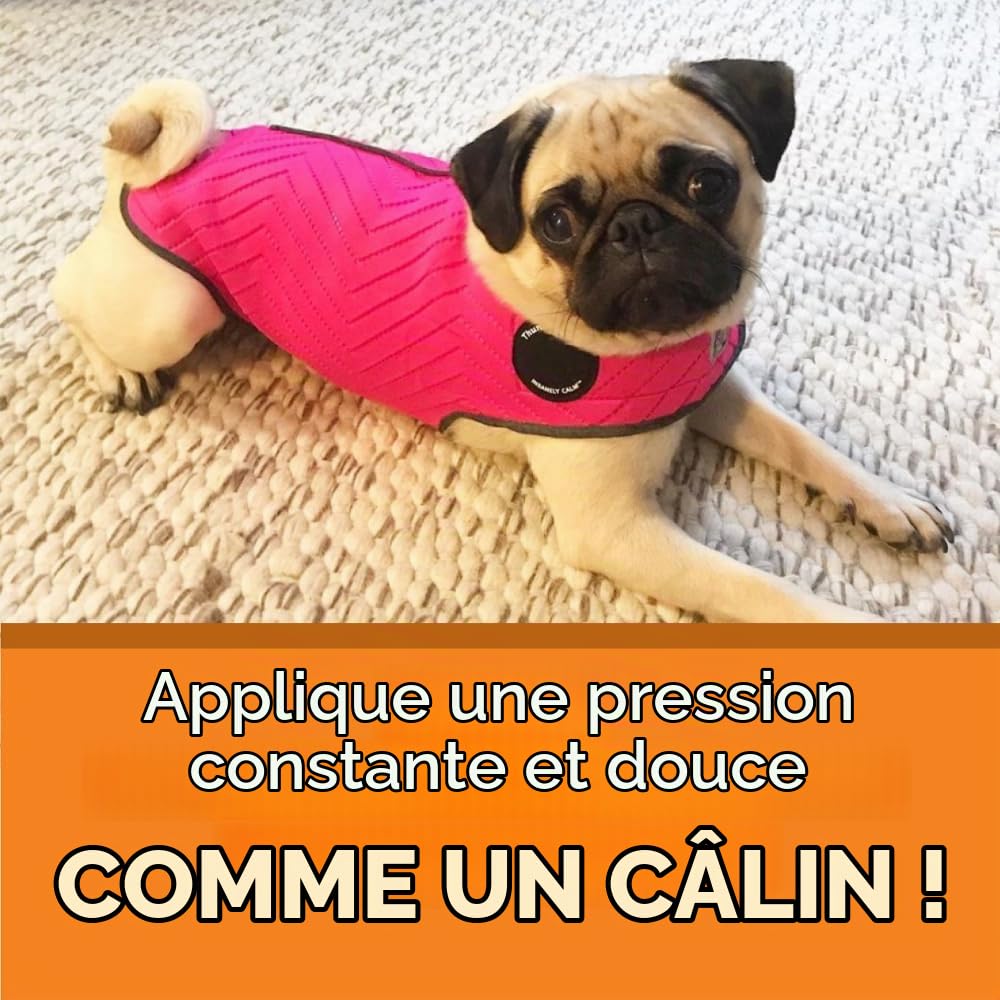 ThunderShirt Gilet apaisant pour Chiens, soulage l’anxiété, Style Sportif, Taille L, Rose Fuchsia