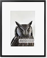 Vista 305 de Fun Memories Portarretratos de metal de 16 x 20 pulgadas con paspartú de 11 x 14 pulgadas, acabado de aluminio cepillado, parte delantera de vidrio