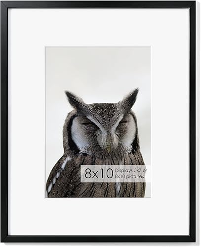 Miniatura 305 de Fun Memories Portarretratos de metal de 16 x 20 pulgadas con paspartú de 11 x 14 pulgadas, acabado de aluminio cepillado, parte delantera de vidrio