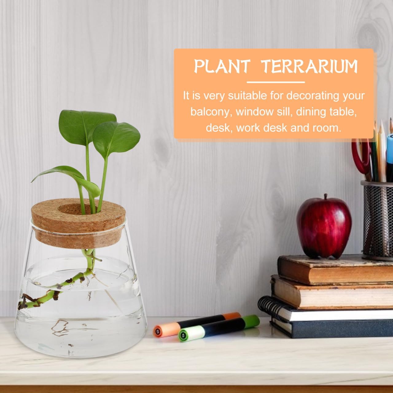 2pcs Propagation Stations, Plant Terrarium Propagating Vases, Chic Hydroponics Vase Elegant Desktop Glass Planter with Wood Lid for Home Decoration