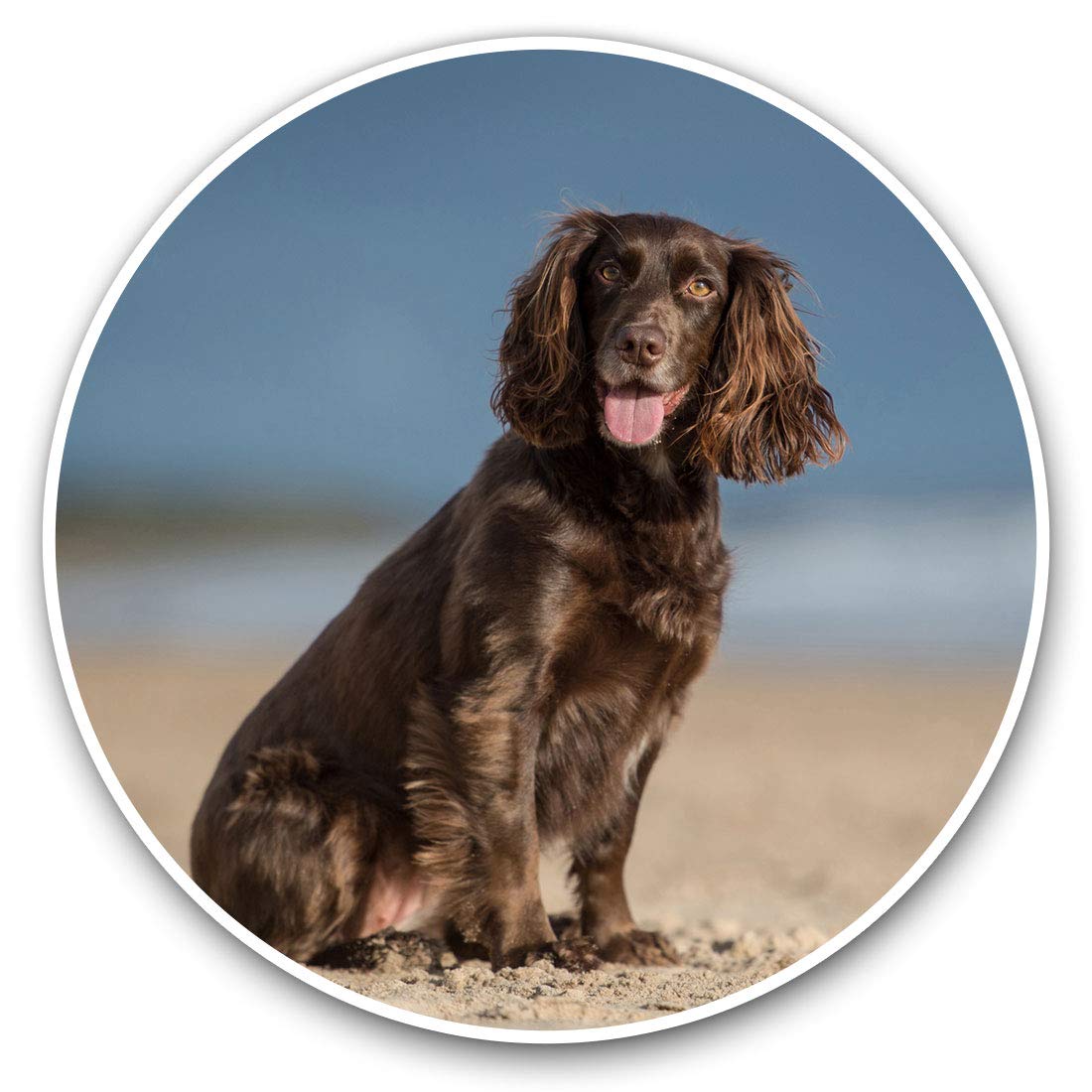 Vinyl Stickers (Set of 2) 7.5cm - Cocker Spaniel Puppy Dog #12508