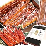 うなぎ 鰻 国産 蒲焼き 特大長蒲焼き 5本 (総重量900g~1,000g) 化粧箱