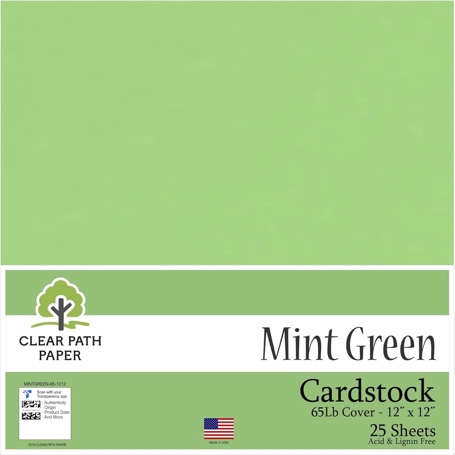 Mint Green Cardstock 12 x 12 inch 65Lb Cover 25 Sheets Clear