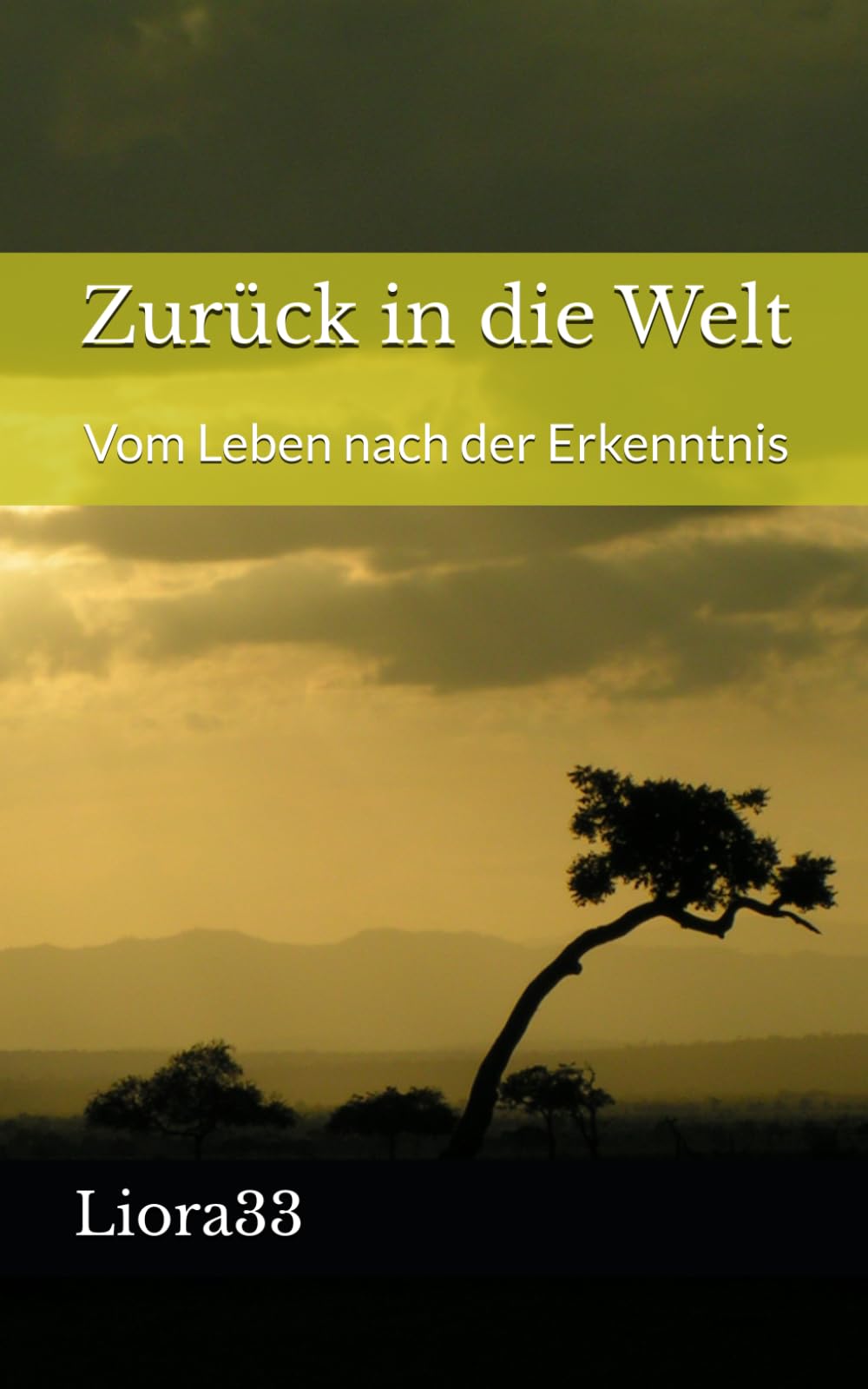 Zurück in die Welt: Vom Leben nach der Erkenntnis
