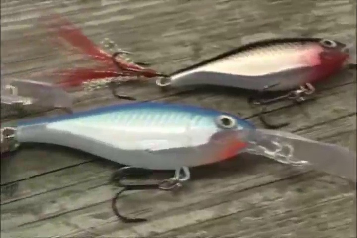 ◆レアG-RAP S.H.D./Calm Before Tha Storm Amazon.com : Rapala X-Rap Shad 06 Fishing lure (Glass Ghost