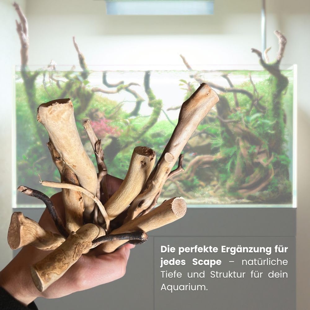AquaOne Aquarium Moorkien Scape Sticks 100 g (10-25 cm) I Naturholz für Aquascaping & Aquarium Dekoration I Nano Becken Aquarien Terrarien Hardscape Zubehör