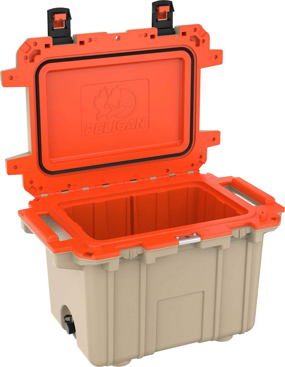 61BN+1Q4RWL.jpg