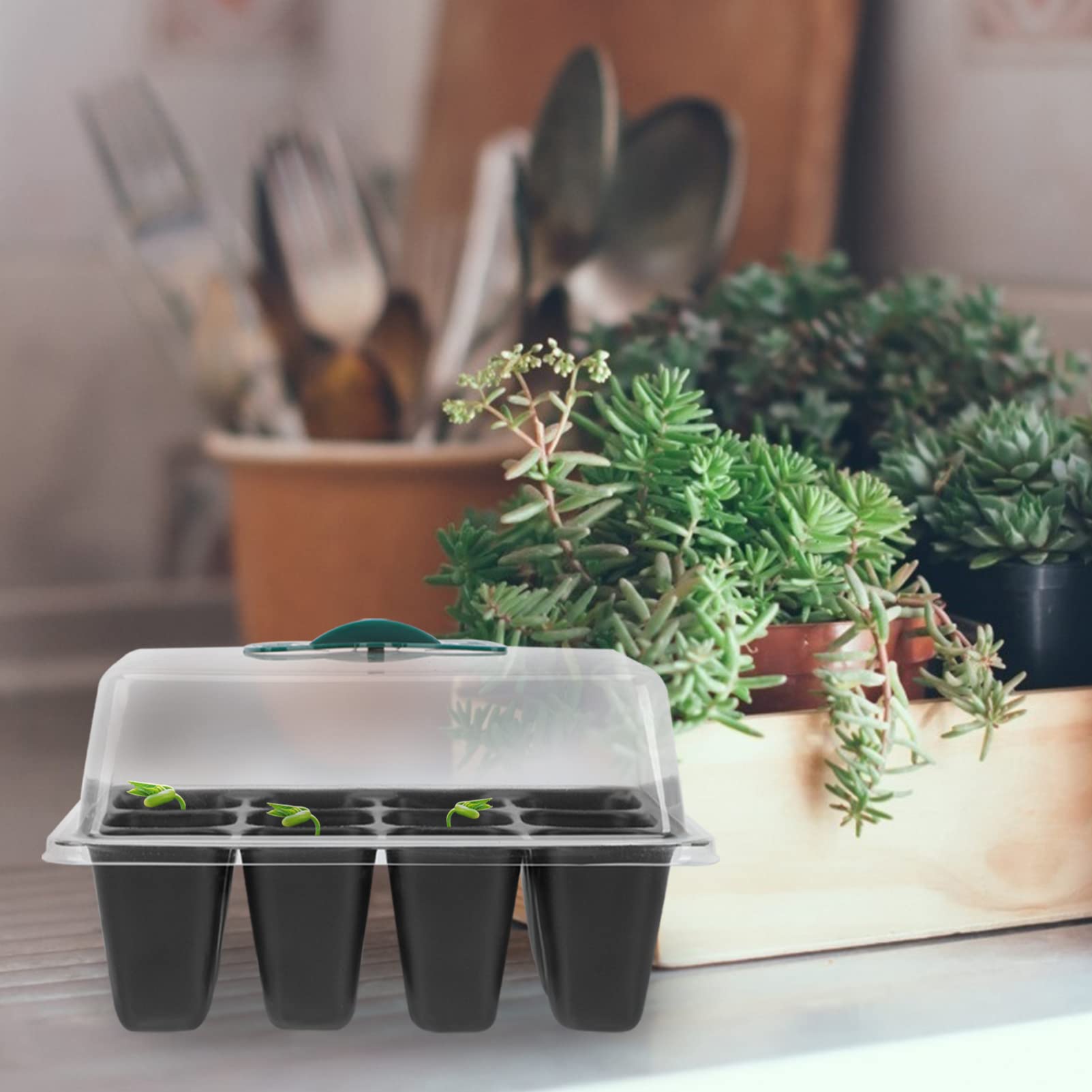 BESTonZON 2 Set Vassoio per Piantine con Contenitore per Germinazione con per Microgreens E Insalate 3 Pezzi*2