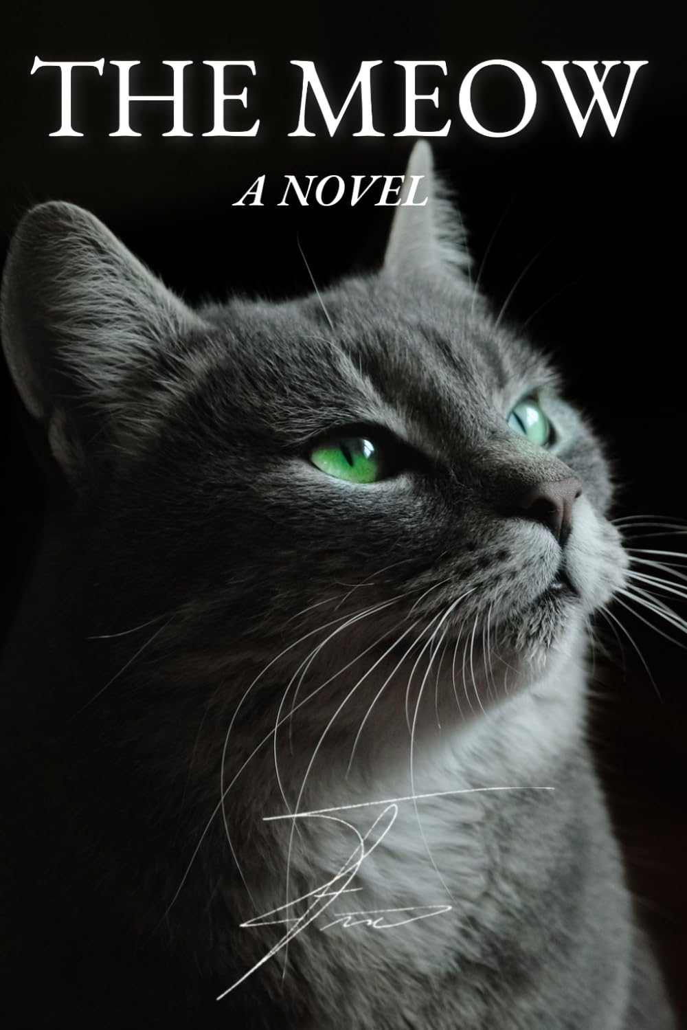 The Meow: A Book for Cats – 100 Pages of Fun | The Perfect Gift for Cat Lovers and cats | The best Novel for your cat