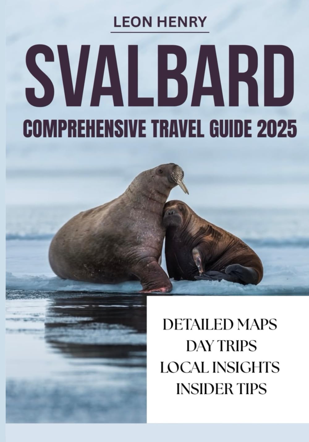 SVALBARD COMPREHENSIVE TRAVEL GUIDE 2025