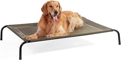 dog cot bed amazon