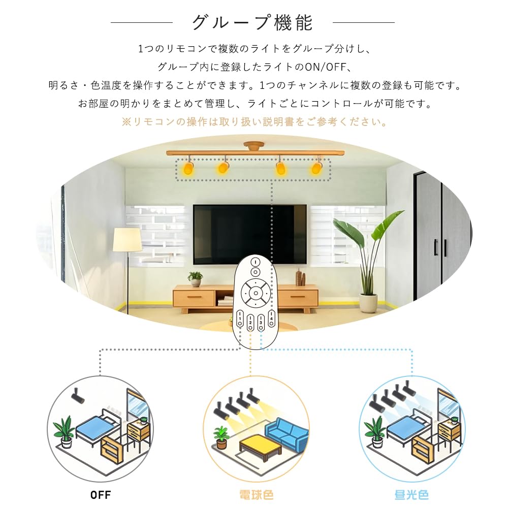 Amazon.co.jp : 共同照明 ダクトレール用スポットライト 100W形相当 調