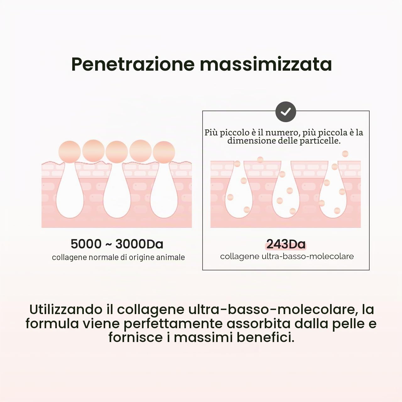 BIODANCE Crema al collagene per ispessimento dei pori, crema coreana al collagene e idratante viso rassodante con collagene, M