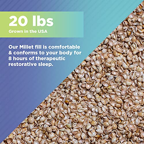 Bean Products Organic Millet Hulls | 100% Organically Grown In The Usa | Great For Filling Pillows, Yoga Bolsters, Cushions & More | Chemical Free And Hypoallergenic | 20Lbs #TOP1