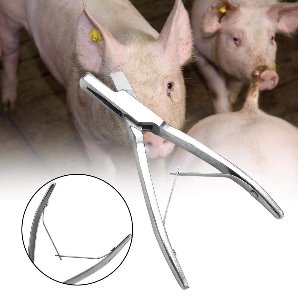 Schwein Ohrmarkenzange Edelstahl - V-Form Applikator Für Viehzucht