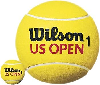 Amazon | Wilson(ウイルソン) サイン用 テニスボール US OPEN