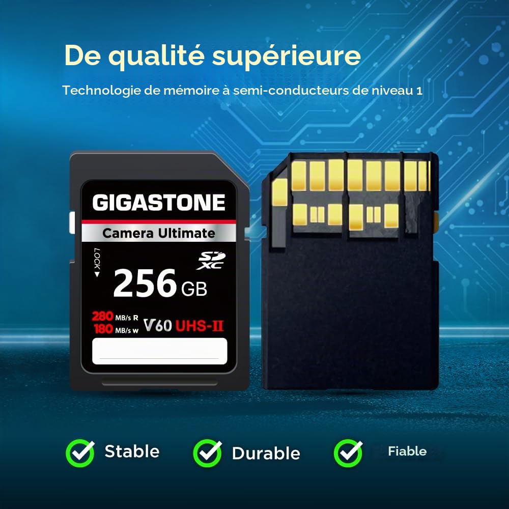 [5 Ans Récupération de données Gratuite] GIGASTONE UHS-II V60 256Go Carte SD, Camera Ultimate, Vitesse jusqu'à 280/180 Mo/s, pour Canon Nikon Sony Pentax Kodak Olympus Panasonic avec 1 Mini étui