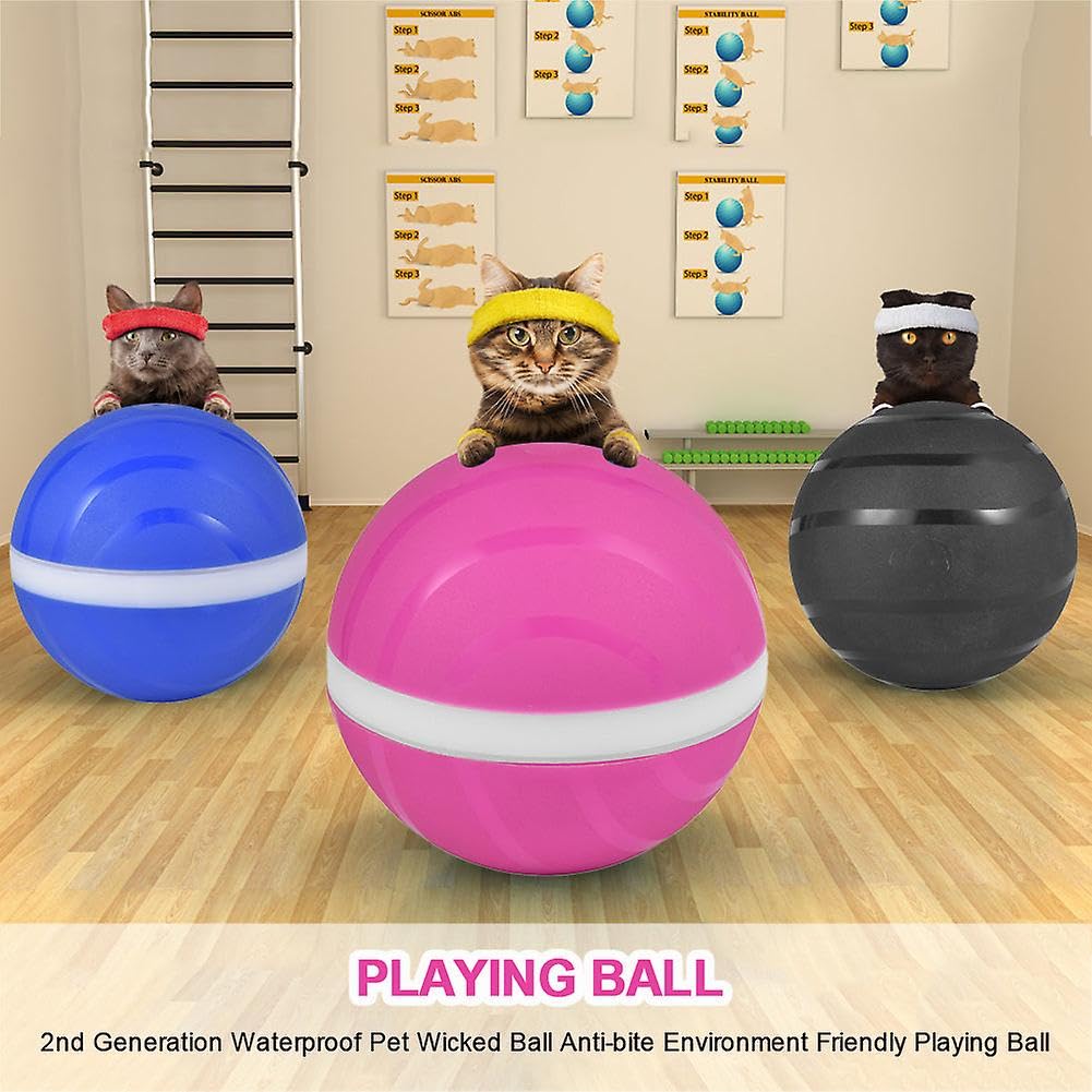 Wasserdichter Haustier-Ball, 2. Generation, automatischer Schlaf, Anti-Biss, USB, elektrischer LED-Rollball, Katzen- und Hundespielzeug