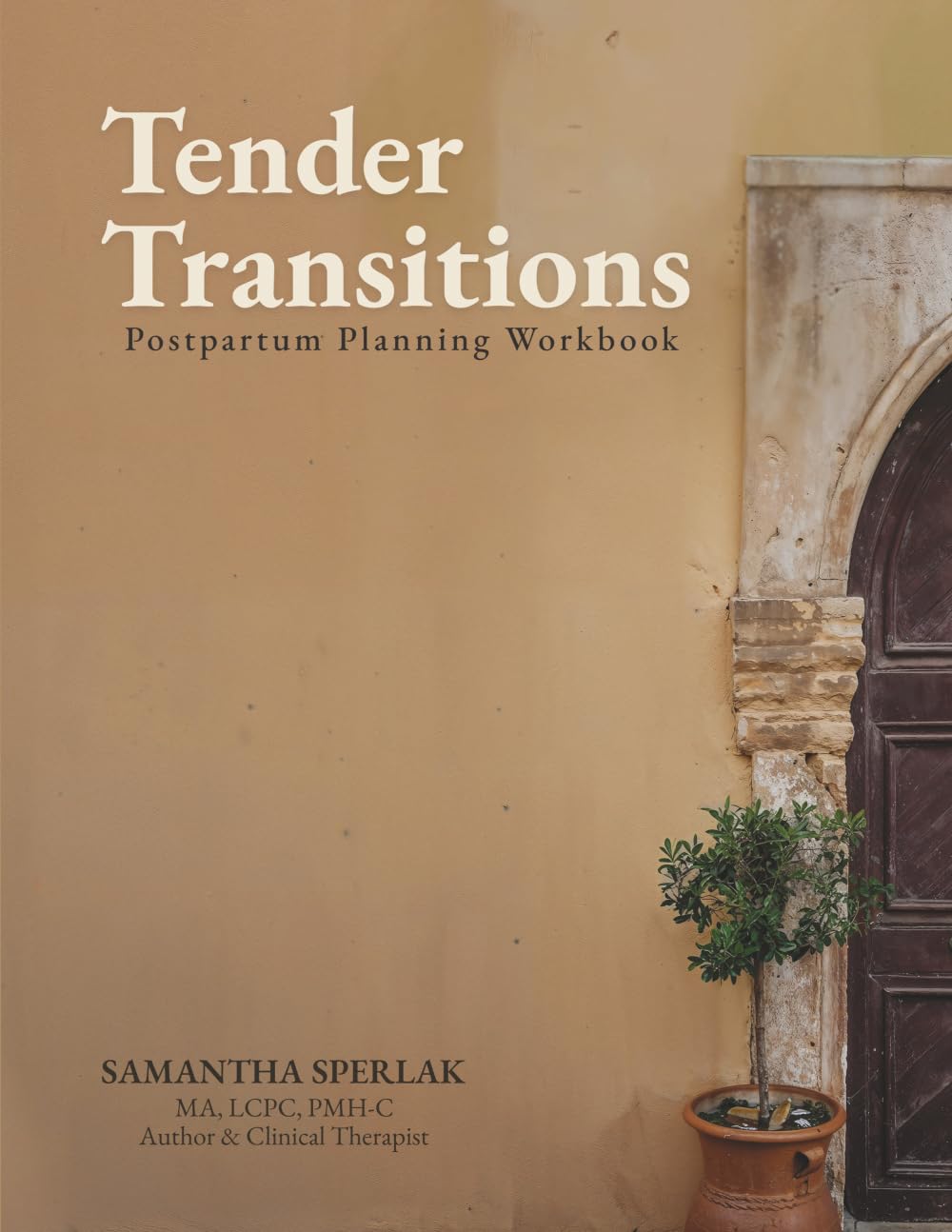 Tender Transitions: Postpartum Planning Workbook