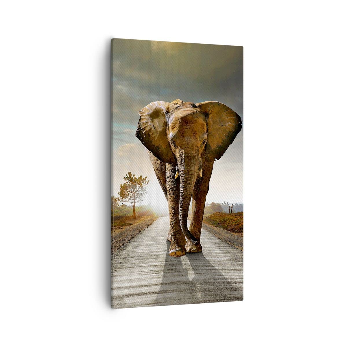 Stampa su tela di design moderno per la casa, elefante bianco e nero, immagine artistica da parete - Italia