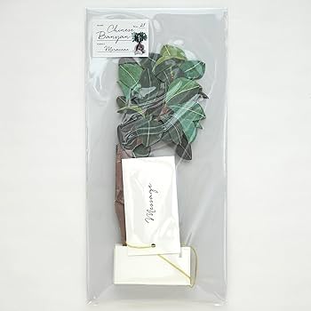 ガジュマルさま専用ページ ガジュマルさま専用ページ ガジュマルさま専用ページ ガジュマル