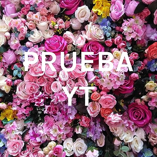 Couverture de PRUEBA YT