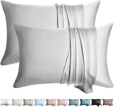 100% Silk Pillow Cases 2 Pack Queen Size Mulberry Silk Pillowcase for Hair and Skin Set of 2 Highest Grade 6A Silk Soft Breathable Cooling with Hidden Zipper, Light Grey