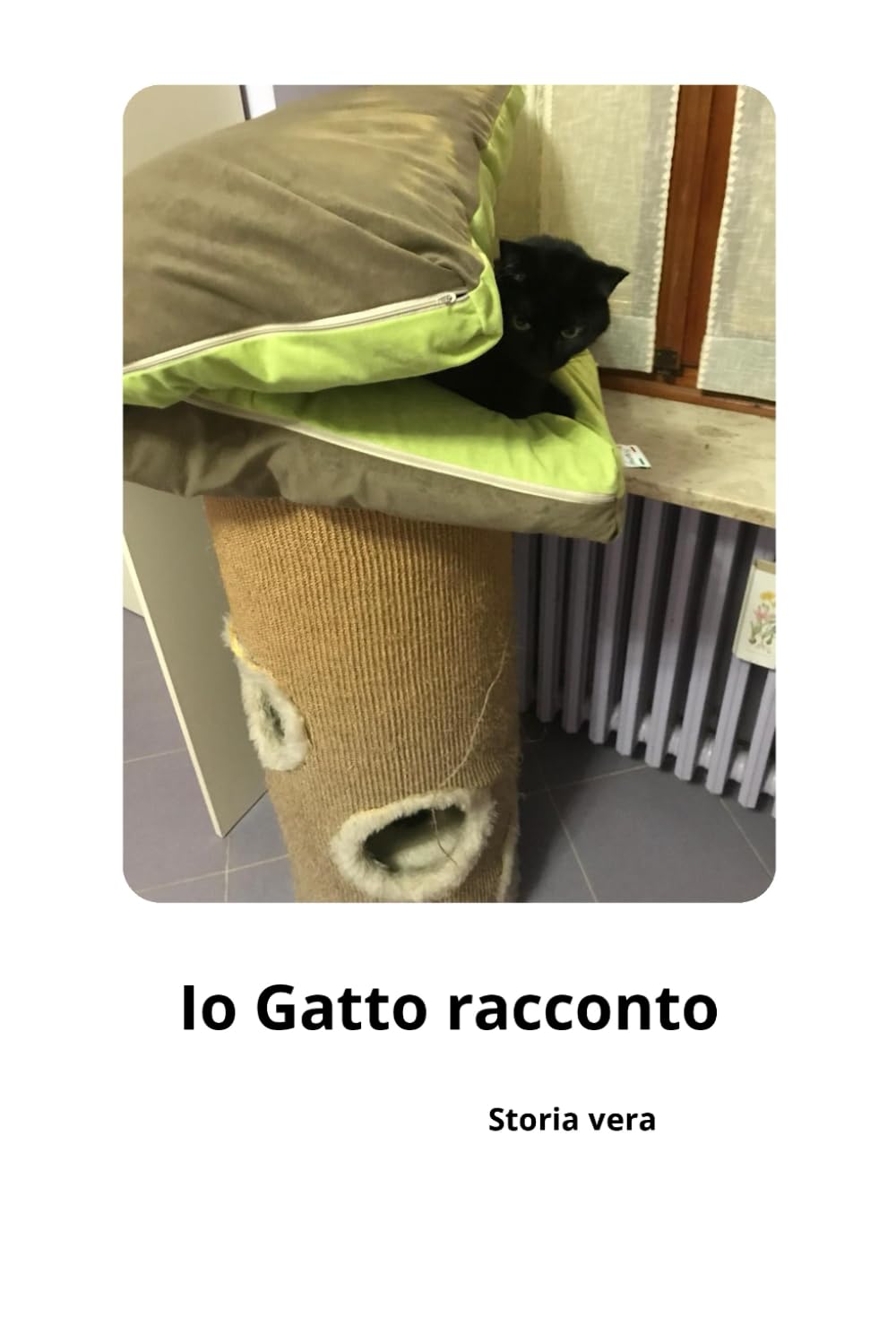 Io Gatto racconto: La Fata dagli occhi dolci